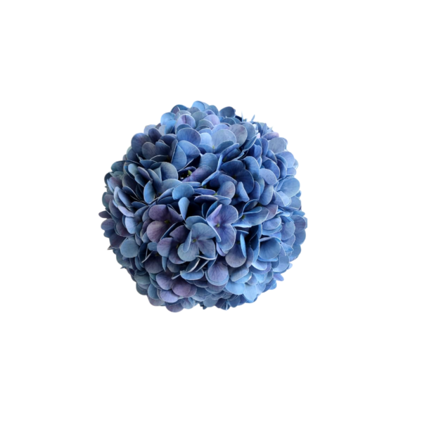 Buquê de noiva permanente de hortênsias azul redondo