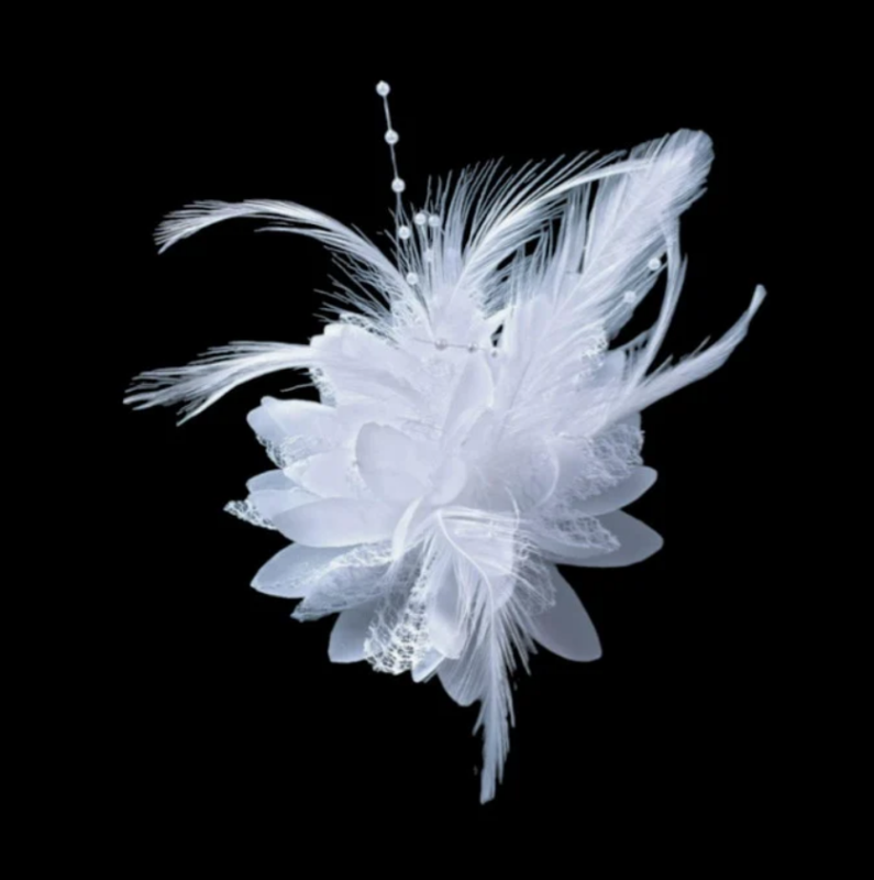 grinalda fascinator penas noiva casamento civil